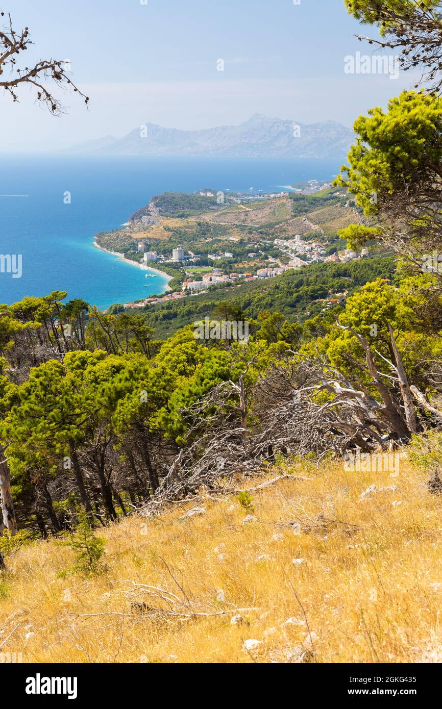 Dalmatinische Küste in der Nähe von Makarska, Kroatien Stockfoto