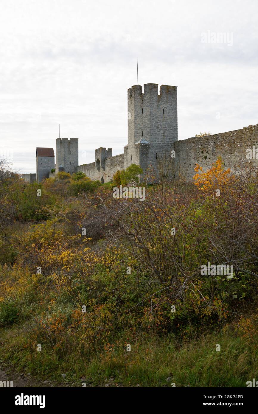 Teil der mittelalterlichen Stadtmauer, Visby ringmur, um die Stadt Visby, Gotland, Schweden Stockfoto