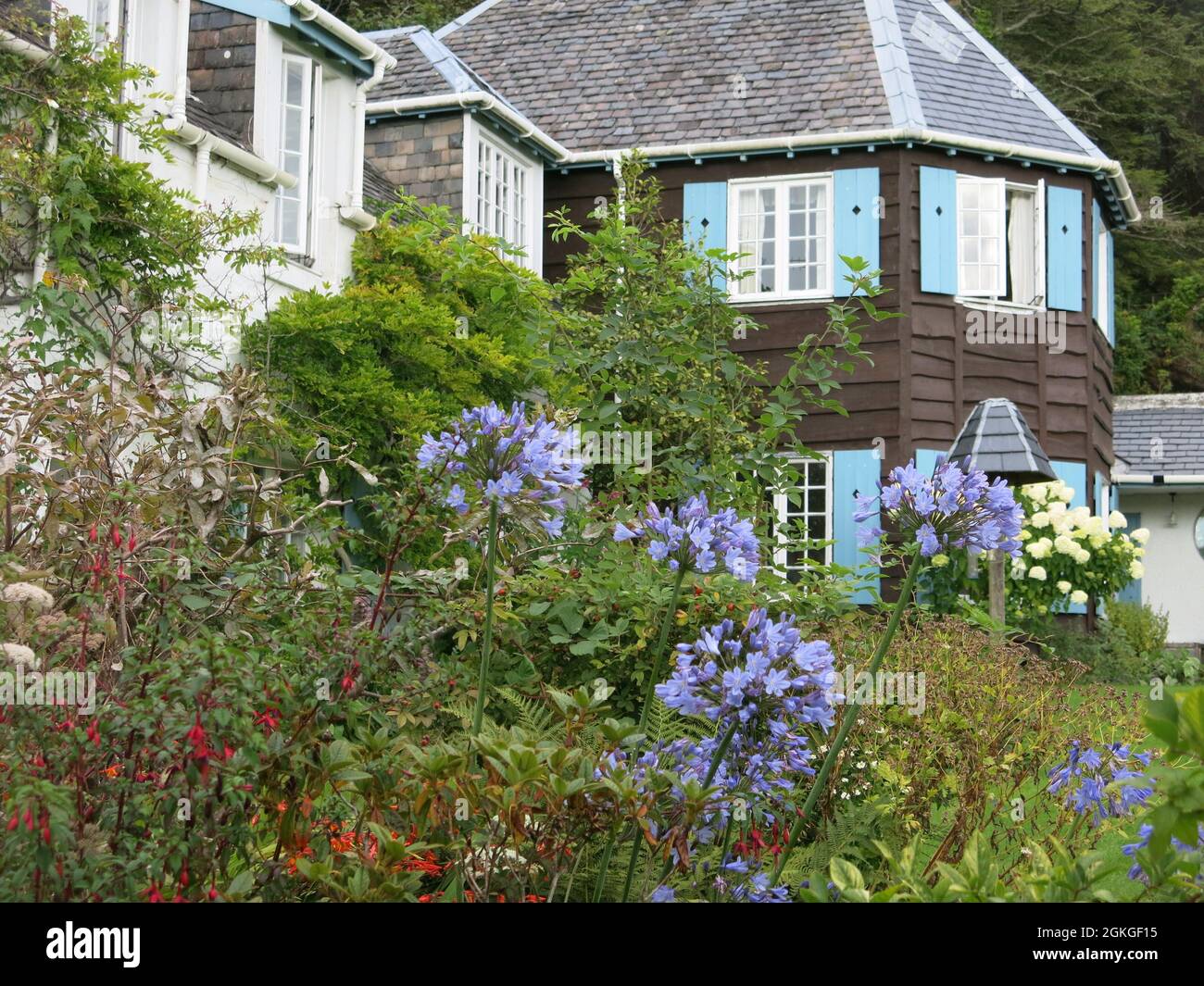 Der private Garten an Cala, der in den 1930er Jahren von Thomas Mawson entworfen wurde, ist für Besucher über das Scotland's Gardens Scheme zugänglich und behält seine herrliche Pflanzung bei. Stockfoto