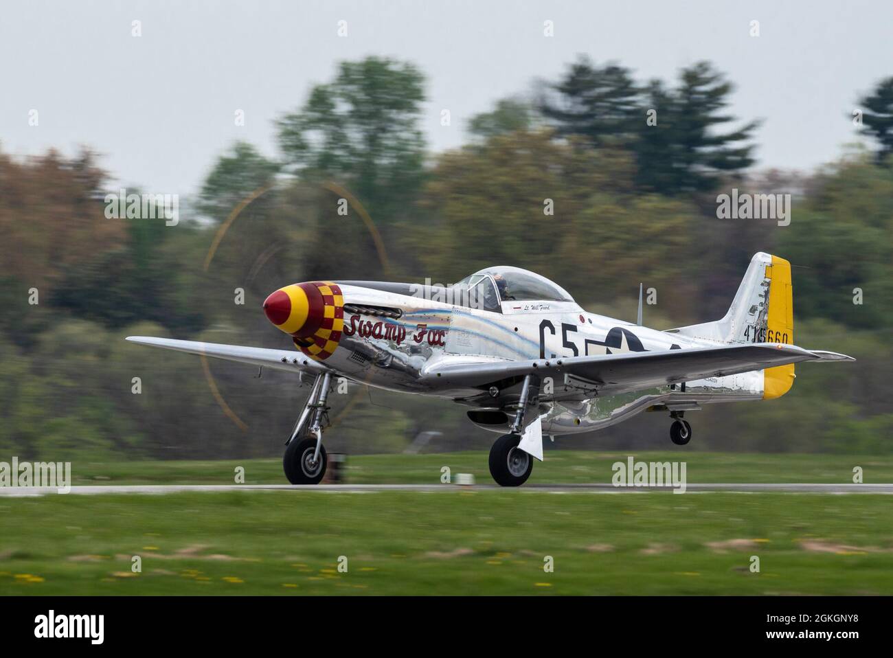 Ein P-51 Mustang taxiert am Bowman Field in Louisville, Ky., 17. April 2021, bevor er in der Flugshow Thunder over Louisville auftrat. Das Flugzeug, das den Spitznamen Swamp Fox trägt, befindet sich heute in Privatbesitz, gehörte aber nach dem Zweiten Weltkrieg zum aktiven Inventar der Kentucky Air National Guard Stockfoto