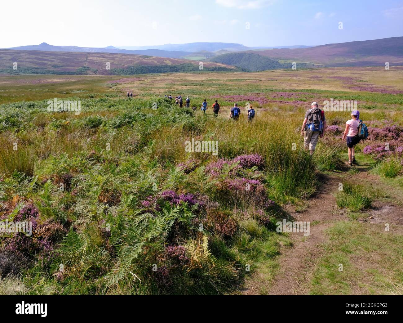 Eine Gruppe von Wanderern folgt einem von Farn und Heidekraut gesäumten Pfad von Stanage Edge nach Win Hill im Derbyshire Peak District. Stockfoto Eine Gruppe von Wanderern folgt einem von Farn und Heidekraut gesäumten Pfad von Stanage Edge nach Win Hill im Derbyshire Peak District. Stockfoto