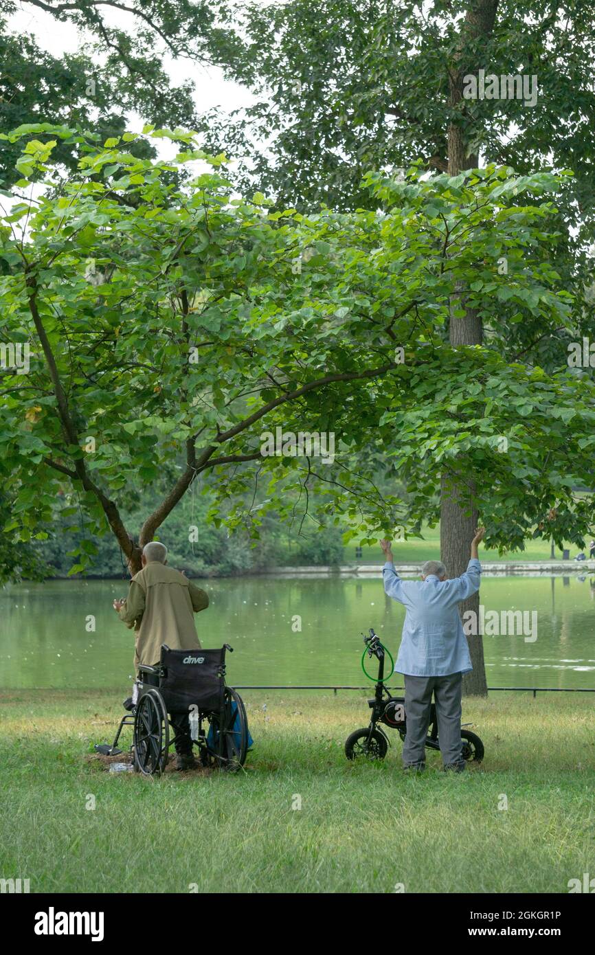 Zwei chinesisch-amerikanische Falun Gong-Anhänger in den Achtzigern machen in einem Park in Queens, New York City, langsame Übungen vor Bäumen. Stockfoto