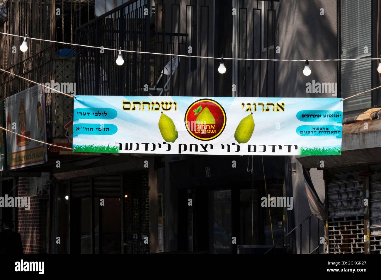 Ein hebräisches Banner, das religiöse Artikel zur Feier von Succos wirbt. An der Lee Ave. In Williamsburg, Brooklyn, New York. Stockfoto