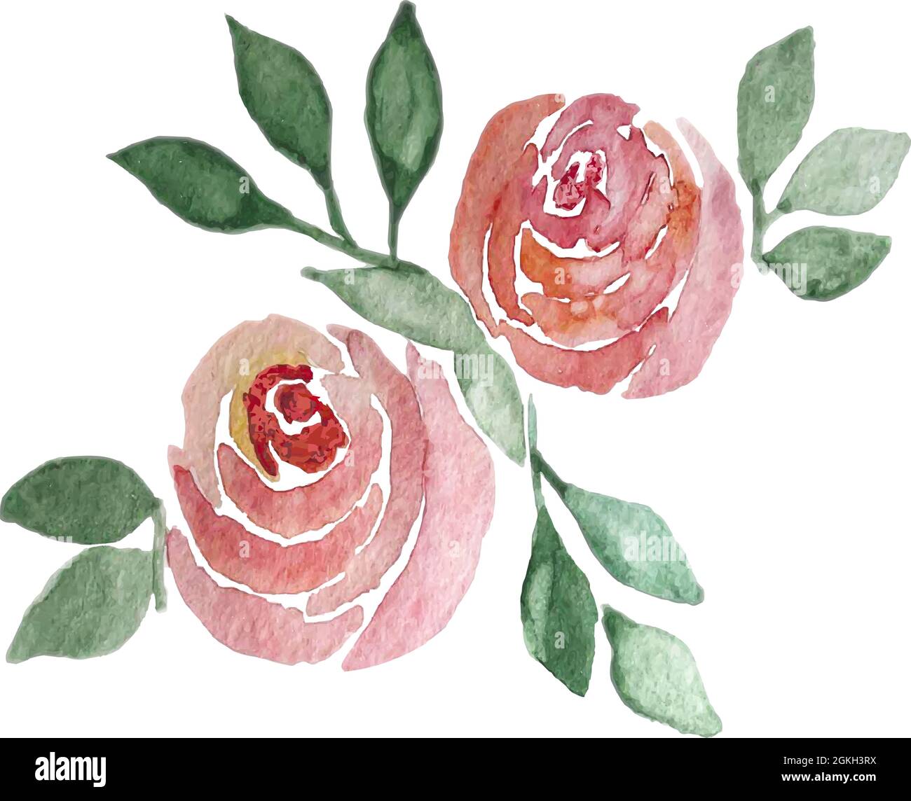 Handgezeichnete Aquarell-Rosenblüte. Isoliert auf weißer Vektorgrafik Stock Vektor