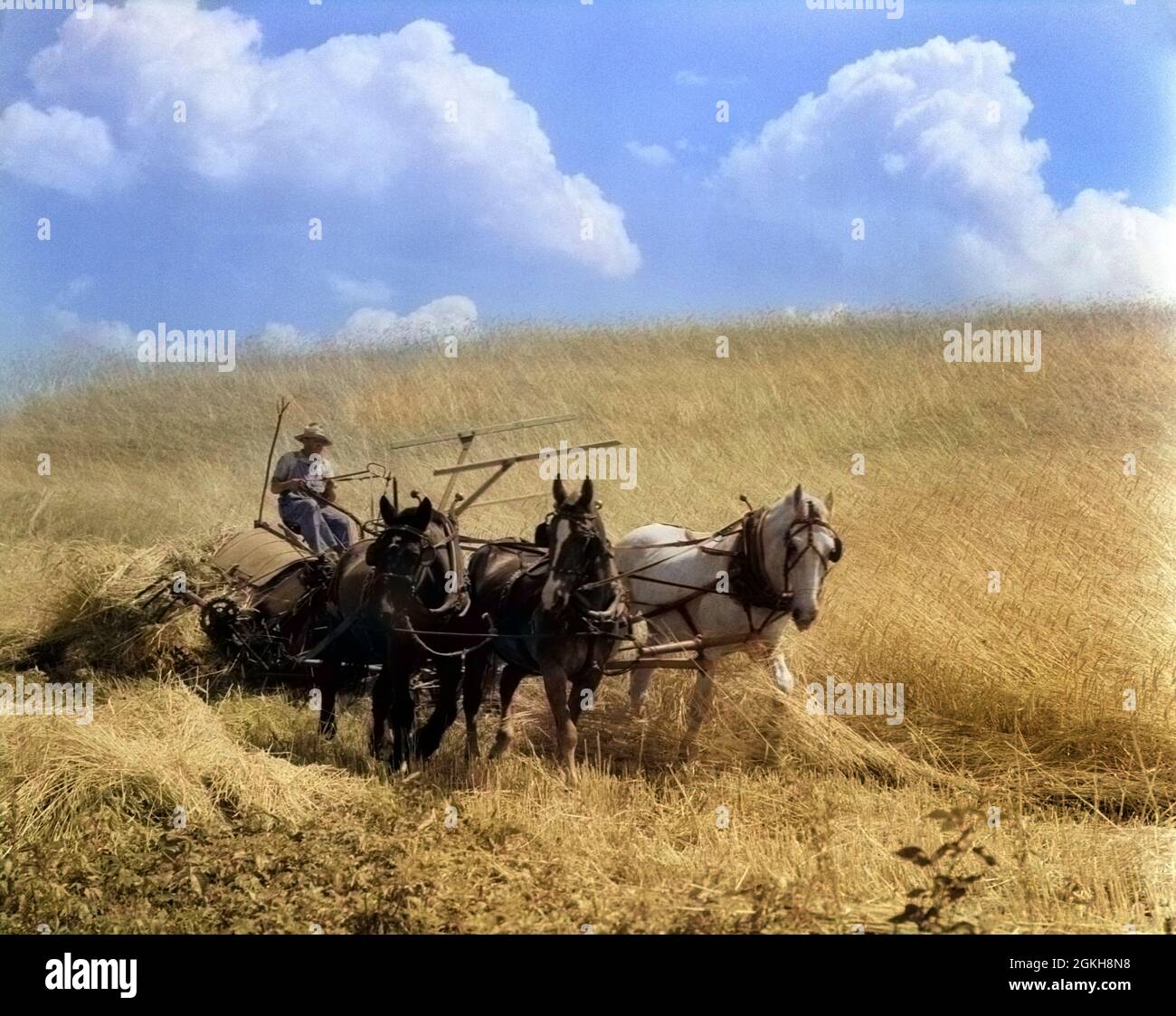 Mccormick Schnitter Stockfotos Und -Bilder Kaufen - Alamy