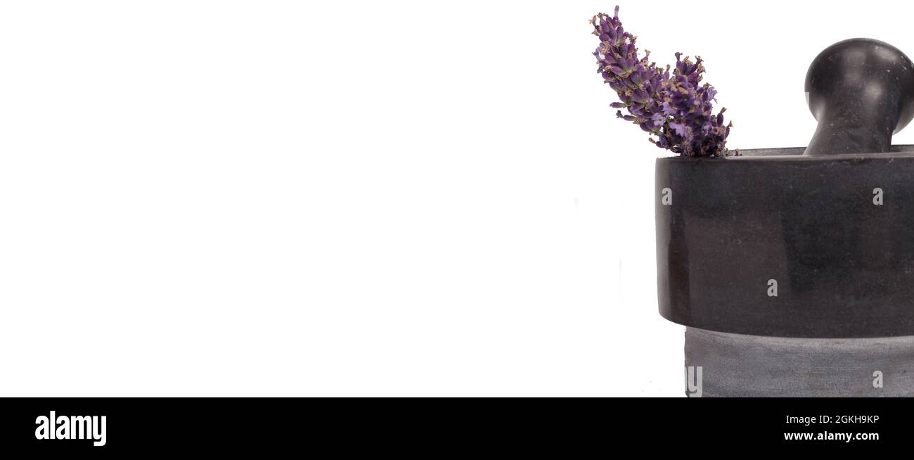 Lavendel in einem Mörser auf Weiß isoliert. Komposition mit Lavendelblüten und Naturkosmetik. Banner, Kopierbereich. Stockfoto