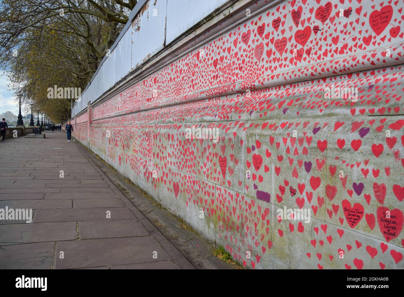 Rote Herzen an der National Covid Memorial Wall vor dem St. Thomas' Hospital. 150,000 rote Herzen wurden von Freiwilligen und Mitgliedern der Öffentlichkeit gemalt, eines für jedes Leben, das Covid in Großbritannien bis heute verloren hat. London, Großbritannien April 2021. Stockfoto