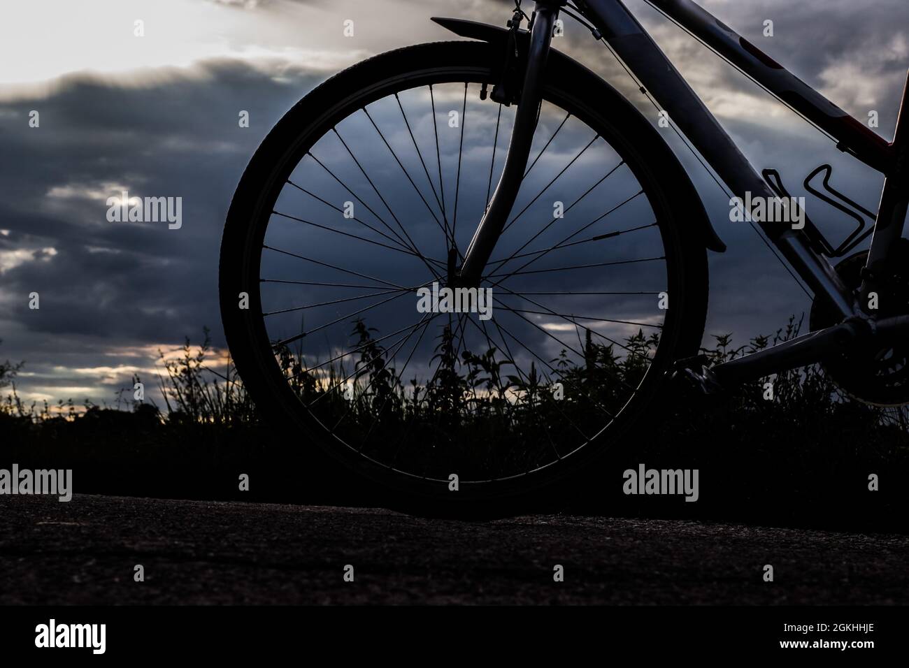 Blick durch das Rad auf die Wiese bei Sonnenuntergang in Blau Stockfoto