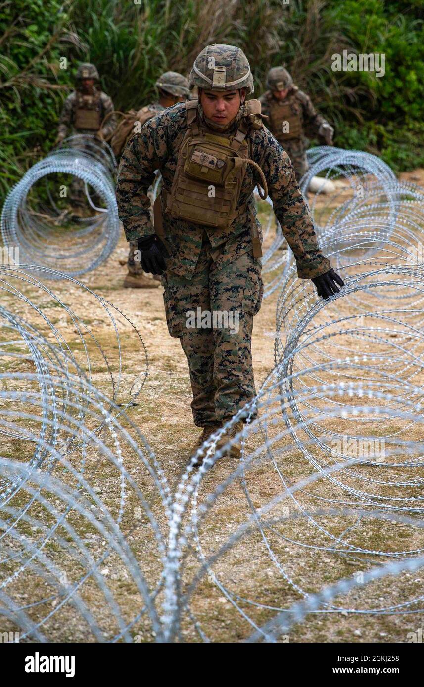 U.S. Marine Corps CPL. Nichola Taylor, ein Kampfingenieur, der am 3d-Bataillon, 3d Marines, befestigt ist, verstärkt eine defensive Position mit einem konzertanten Draht auf IE Shima, Okinawa, Japan, 27. April 2021. 3/3 verbesserte ihre Kompetenz in verteilten Betrieben und demonstrierte gleichzeitig ihre Fähigkeit, wichtiges maritimes Terrain in der Indo-Pazifik-Region schnell zu sichern und zu verteidigen. 3/3 wird im Rahmen des Unit Deployment Program im Indo-Pacific unter 4th Marines, 3d Marine Division, eingesetzt. Taylor stammt aus Phoenix, Arizona. Stockfoto