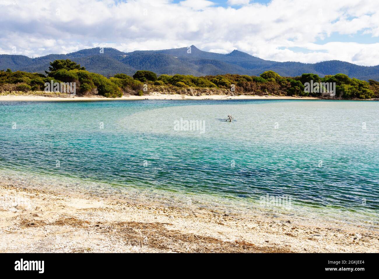 Die Henderson Lagoon mit ihrem fast transparenten Wasser ist ein großes Vogelschutzgebiet - Falmouth, Tasmanien, Australien Stockfoto