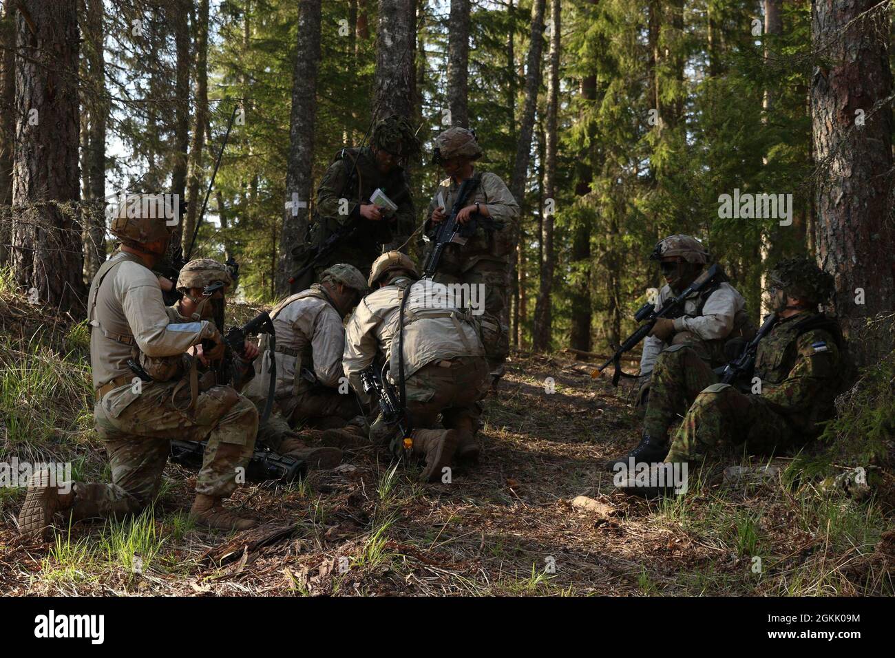 TAPA ZENTRALES TRAININGSGEBIET, Estland – der 3. Zugführer, 1. LT. Cheyenne Helsel, der Alpha-Truppe zugeordnet, 5. Bataillon, 73. Kavallerieregiment erteilt ihrem Zug während der Folgemissionen von Swift Response 21 den Befehl mit estnischen Amtskollegen. Einheiten der 82. Airborne Infantry Division nahmen an Swift Response 21 Teil, einer verbundenen Übung von DEFENDER-Europe 21. DEFENDER-Europe 21 ist eine groß angelegte Übung unter Führung der US-Armee, die darauf ausgelegt ist, Bereitschaft und Interoperabilität zwischen den USA, NATO-Verbündeten und Partnermilitärs aufzubauen. In diesem Jahr werden mehr als 28,000 multinationale Streitkräfte aus 26 Nationen vertreten sein Stockfoto