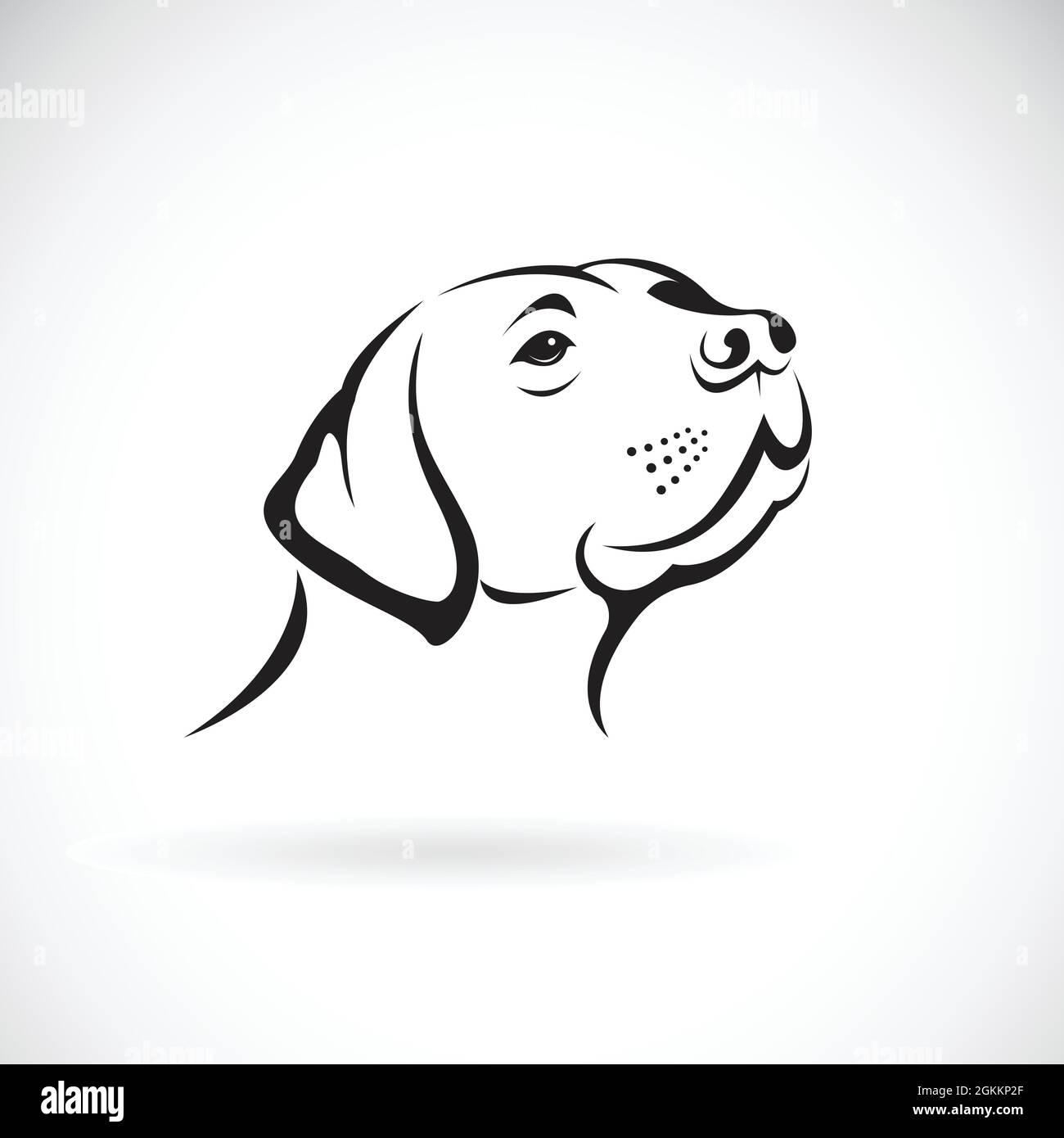 Vektor eines Hundekopfes (Labrador Retriever) auf weißem Hintergrund, Haustier. Tiere. Leicht editierbare Vektorgrafik mit Ebenen. Stock Vektor