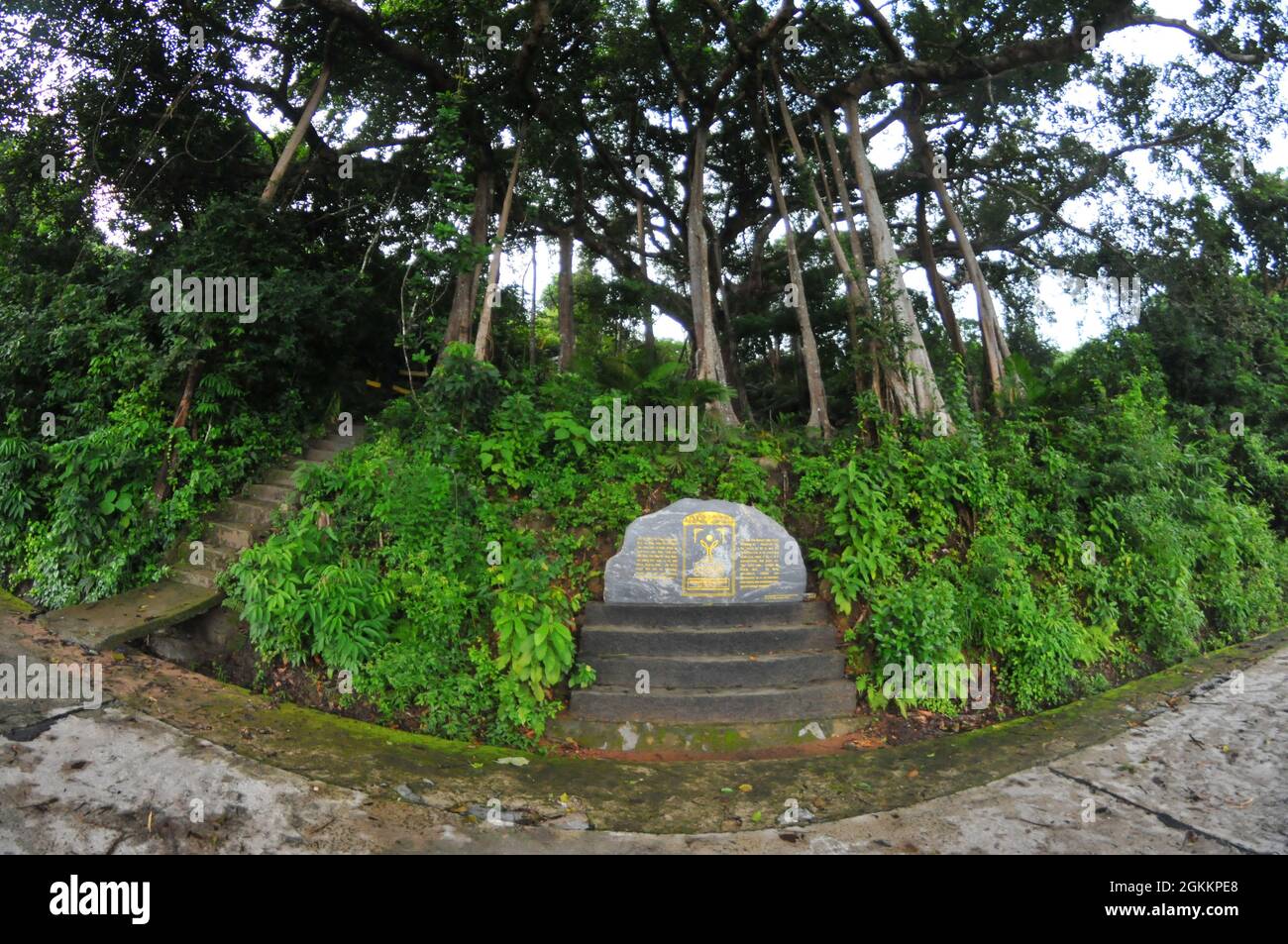 Son Tra Insel in Da Nang Stadt in Zentral-Vietnam Stockfoto