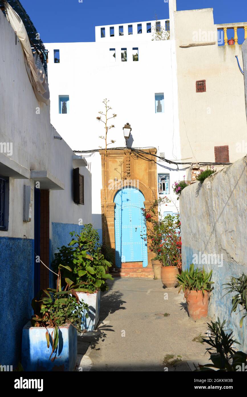 Spaziergang durch die blau-weiß bemalten Häuser in der Kasbah der Udayas in Rabat, Marokko. Stockfoto