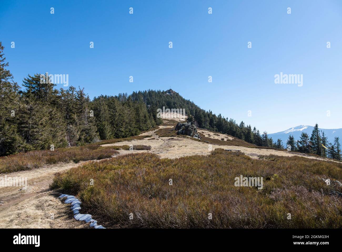 Osserwiese Stockfoto