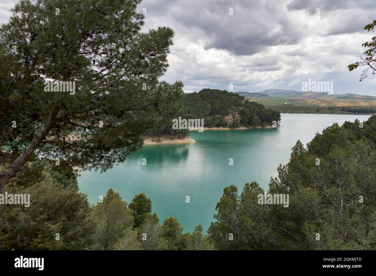 Wasserreserven im Guadalteba-Stausee, umgeben von Pinien in Malaga. Andalusien, Spanien Stockfoto