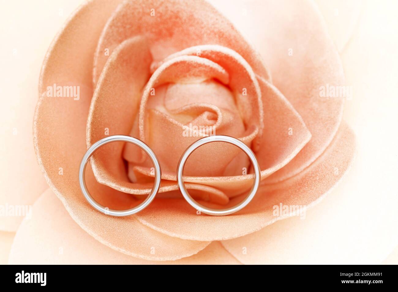 Nahaufnahme eines eleganten silbernen Pairings in der Rosenblüte, verheiratetes Konzept Stockfoto