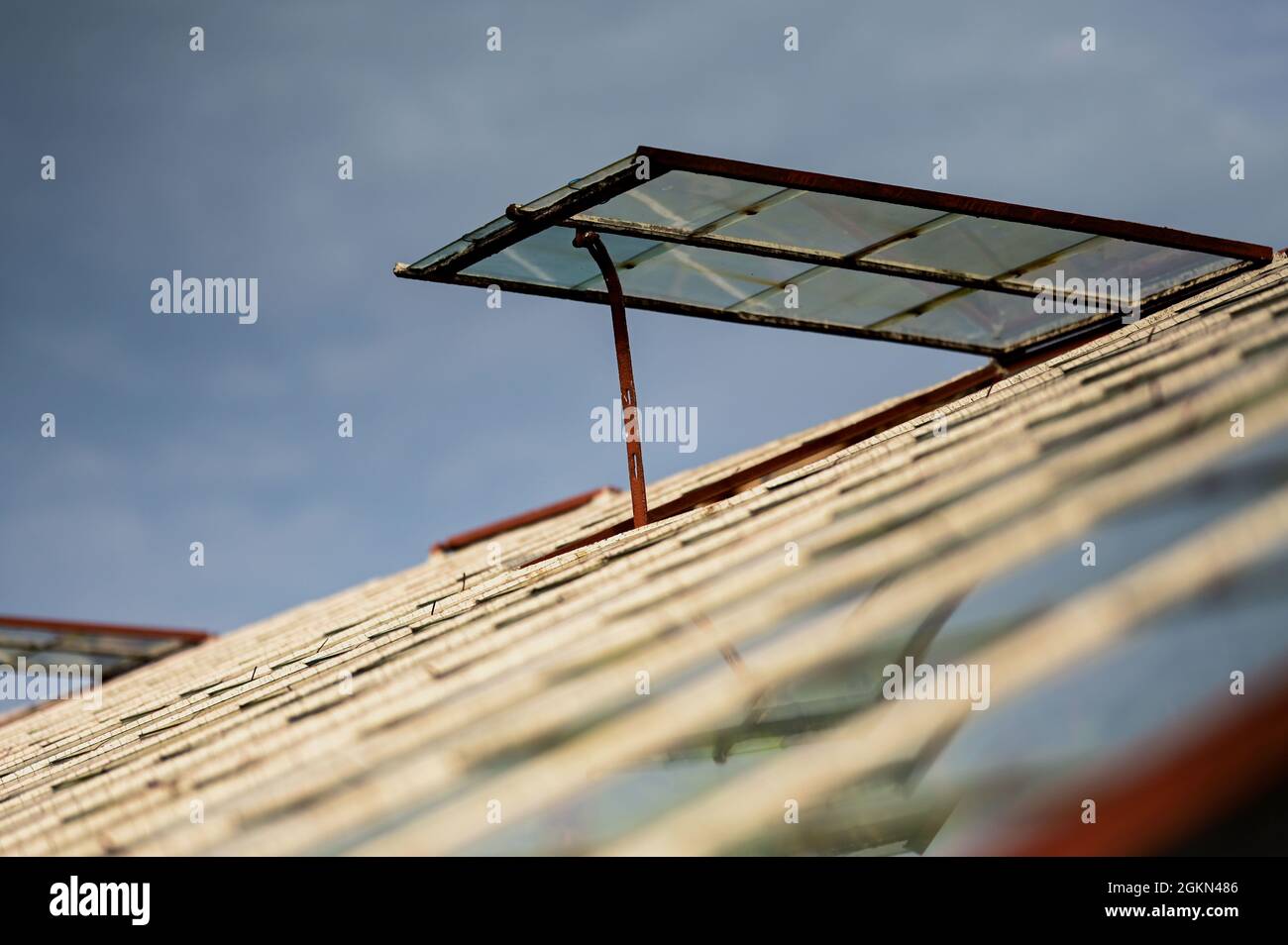 Trauben in Hoeilaart, Belgien Stockfoto