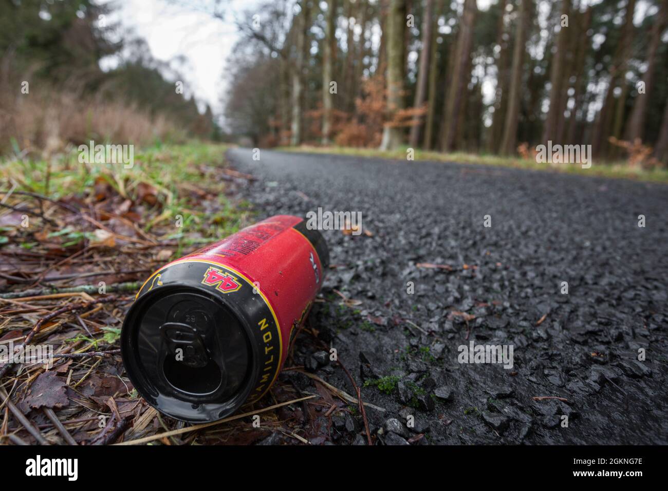 Aluminium kann littering Straßenrand, Northumberland National Park, Northumberland, Großbritannien Stockfoto