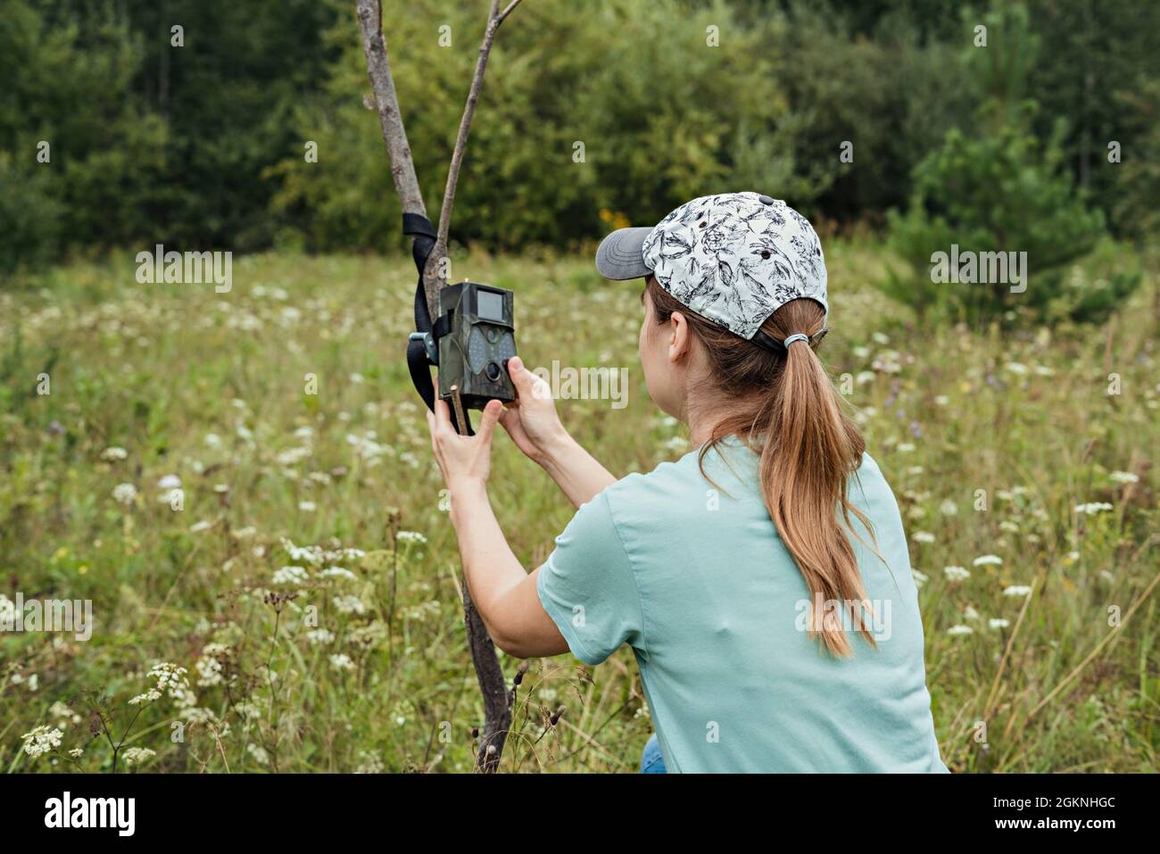 Junge Frau Wissenschaftler Biologe Zoologe stellt Kamera Falle für die Beobachtung von wilden Tieren im Sommer Taiga Wald zu sammeln wissenschaftliche Daten Umwelt Stockfoto