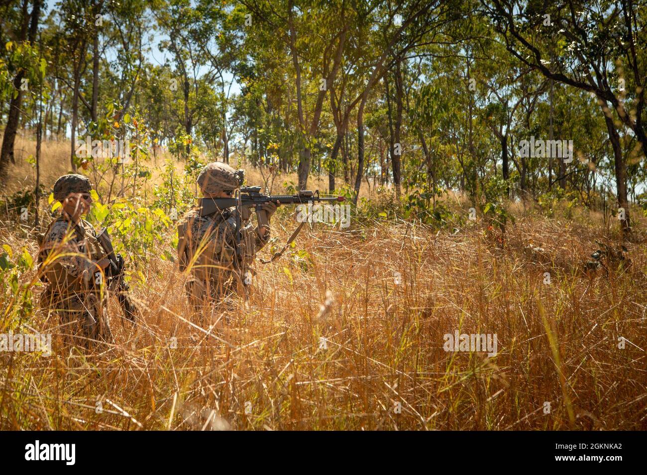 U.S. Marine Corps CPL. Trevor Clements, rechts, ein Kraftfahrzeugbetreiber mit Combat Logistics Bataillon 7, Marine Rotational Force – Darwin, Anvisierung während einer Patrouille im Mount Bundey Training Area, NT, Australien, 6. Juni 2021. Ein kleines Team von Marines mit MRF-D, das an einer Feldtrainingsübung teilnahm, wanderte zu einer vorab festgelegten Position, um Patrouillen durchzuführen. Patrouillierende Übungen zeigen Kompetenz und etablieren MRF-D als postured Kraft, bereit, auf eine Krise oder eine Notlage in der Indo-Pazifik-Region zu reagieren. Stockfoto