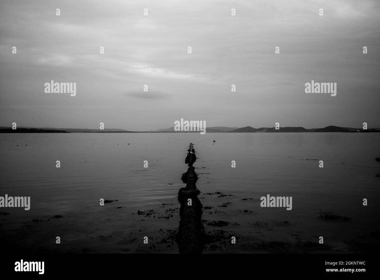 Rohr, das in die Nordsee in Ardesier, Schottische Highlands, eindringt Stockfoto