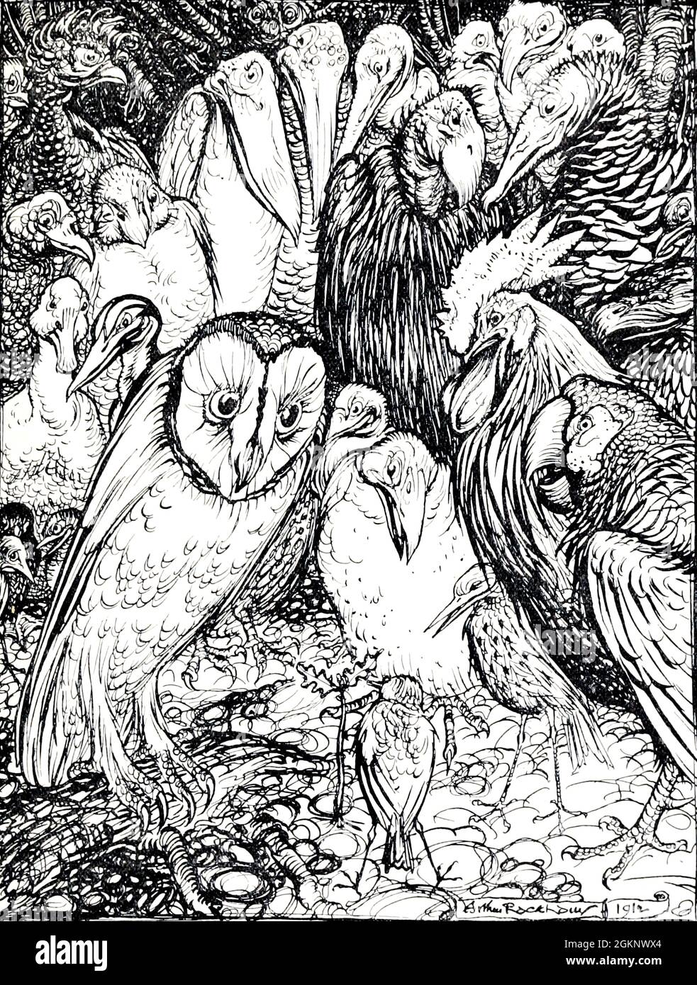 Vogelbildungsgeschichte Geschichte Bild Fotos Und Bildmaterial In vogelbildungsgeschichte-geschichte-bild-fotos-und-bildmaterial-in