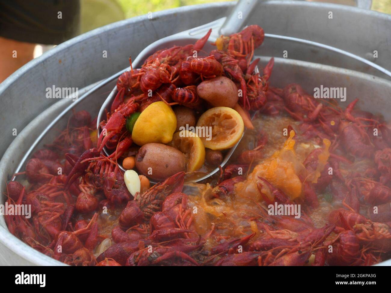 Ein Topf mit gekochten Langusten und die „Fixins“ werden während des 9. Jährlichen Crawfish Cook-Off ‘Bay Breeze Event Center auf dem Keesler Air Force Base, Mississippi, 11. Juni 2021 gewürzt. Zwölf Teams nahmen an der Veranstaltung Teil und mehr als 800 Pfund Langusten wurden verteilt. Stockfoto