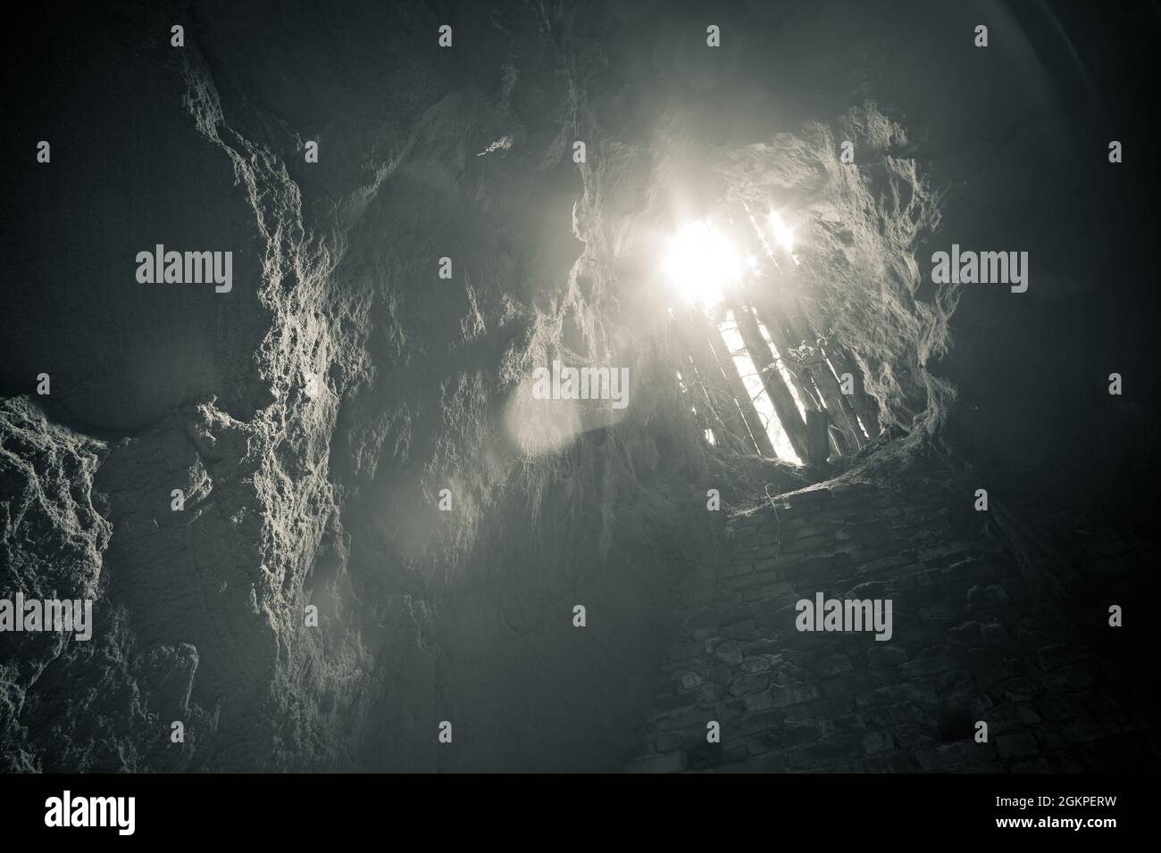 Ein alter verlassene Sandsteinkeller, eine versteckte Höhle im Wald, die in der Vergangenheit zur Lagerung genutzt wurde Stockfoto