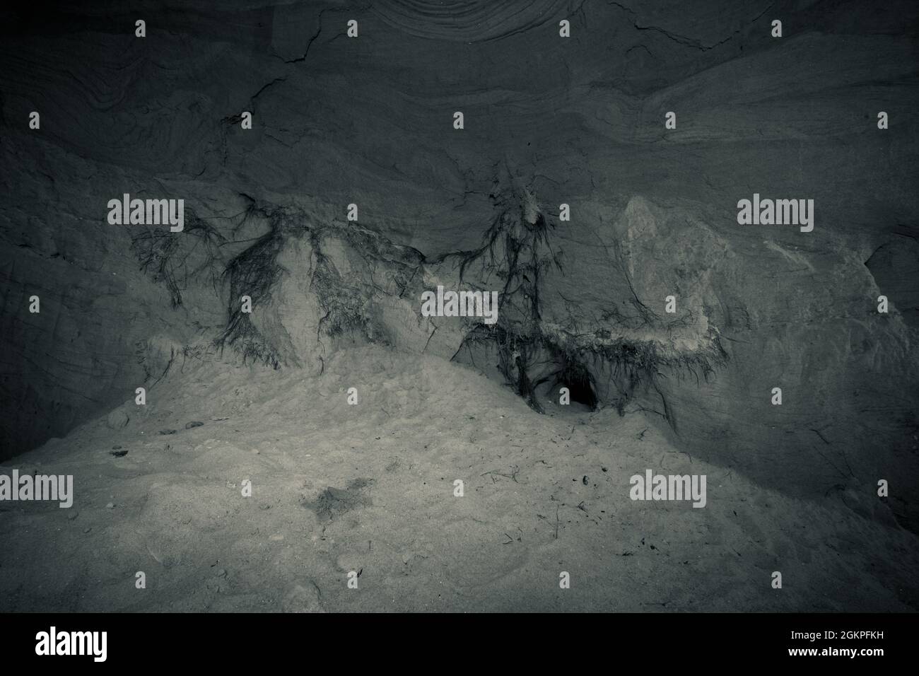 Ein alter verlassene Sandsteinkeller, eine versteckte Höhle im Wald, die in der Vergangenheit zur Lagerung genutzt wurde Stockfoto