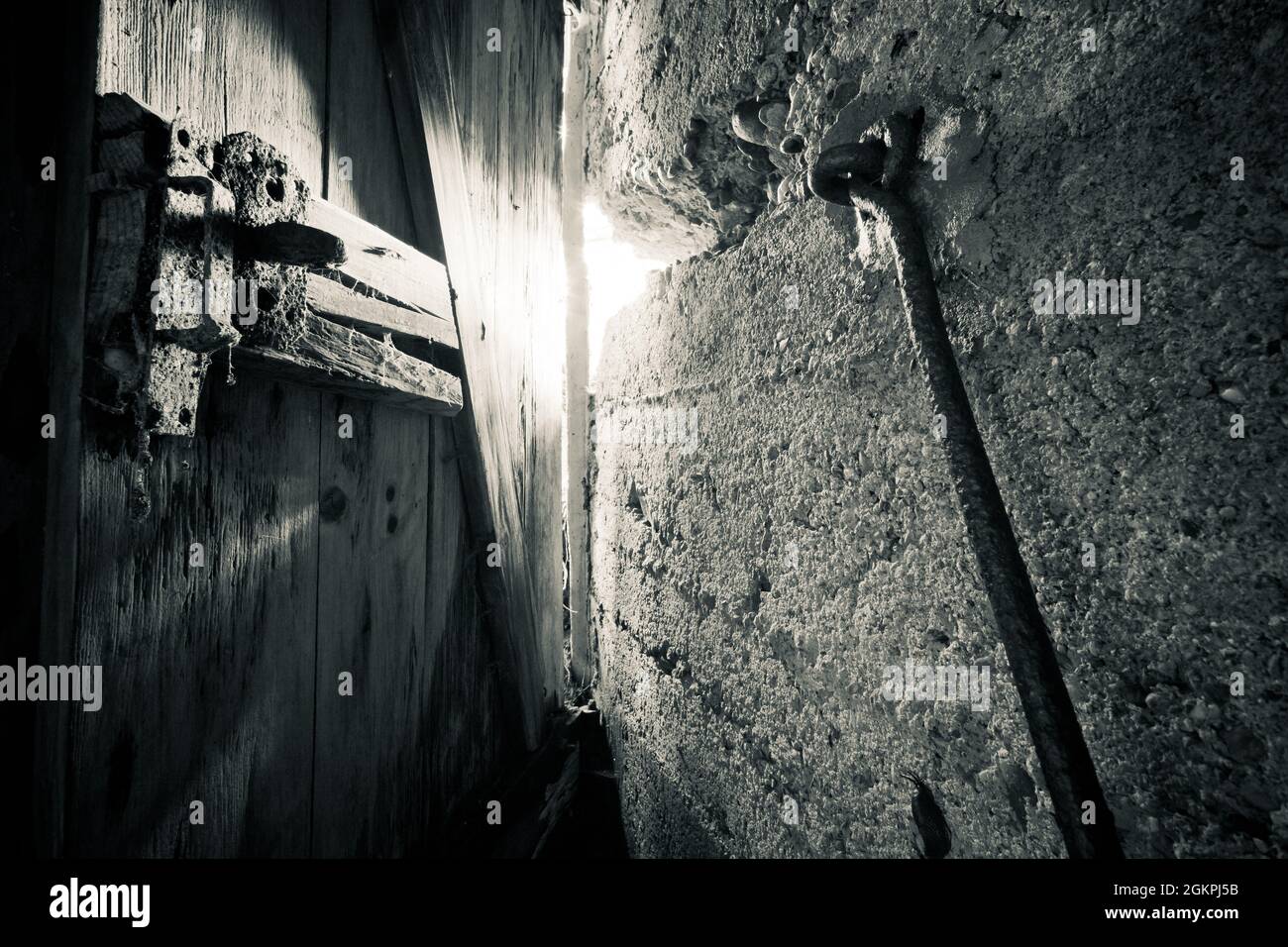 Ein alter verlassene Sandsteinkeller, eine versteckte Höhle im Wald, die in der Vergangenheit zur Lagerung genutzt wurde Stockfoto