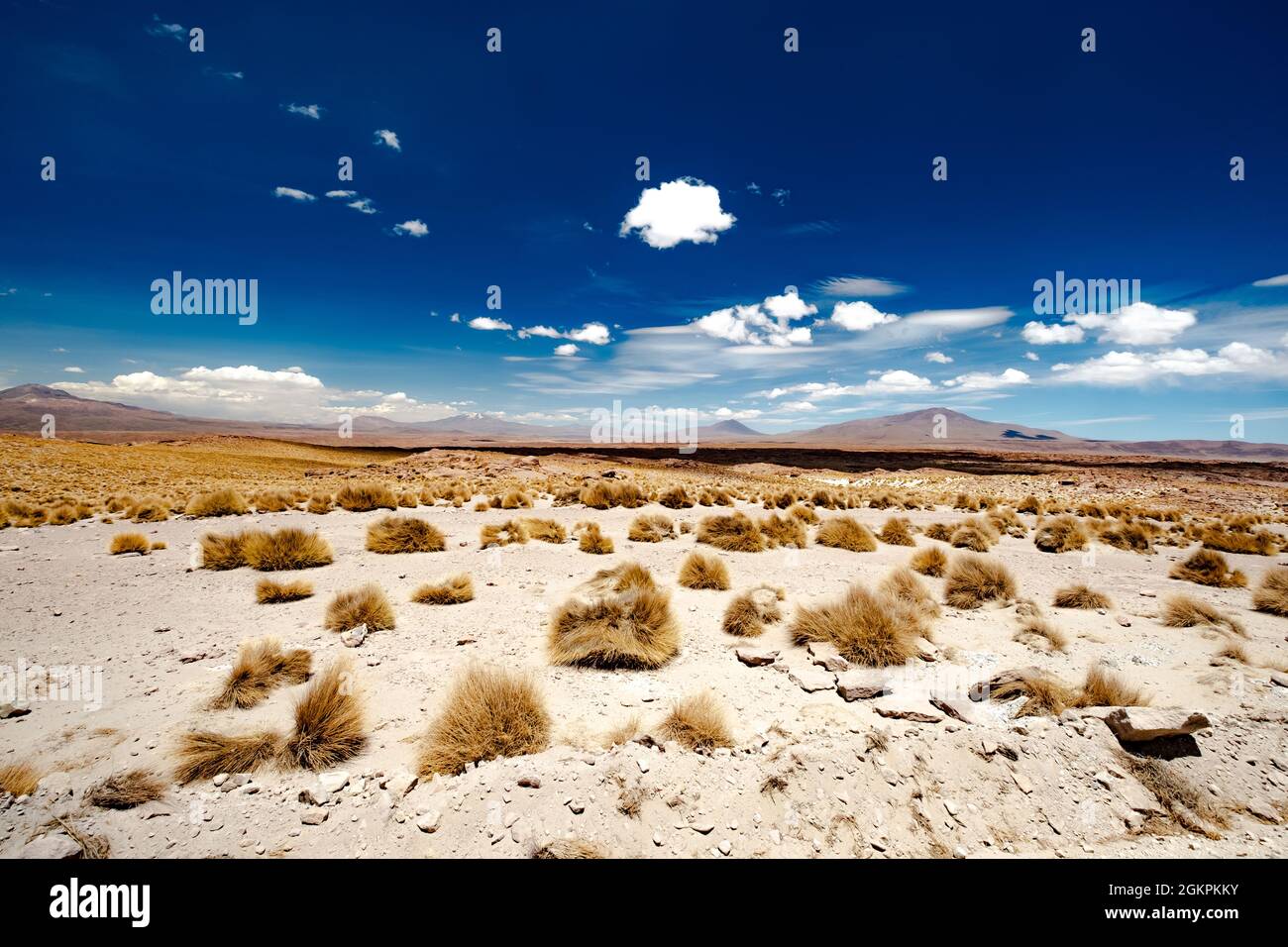 Sonnenschein bolivianische Wüste mit Stockfoto