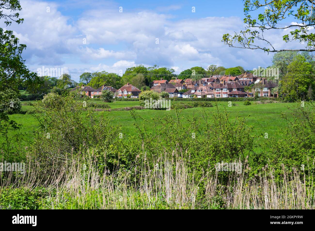 Wohnimmobilien über Felder aus dem Fluss in Arundel, West Sussex, England, Großbritannien. Stockfoto