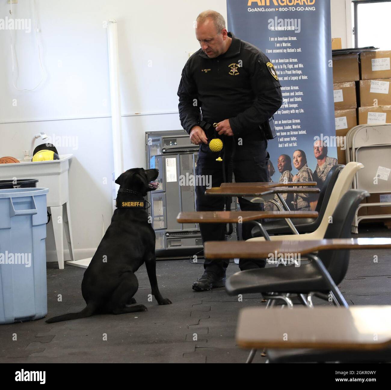 K9 Maizey arbeitet mit ihrem Handler Dan Diblasio zusammen, einem Polizisten des Schenectady County Sheriff Office. Die Offiziere und K9s haben kürzlich bei Stratton ANGB trainiert, wo sie bei Bedarf auch die Sicherheitskräfte unterstützen. Stockfoto