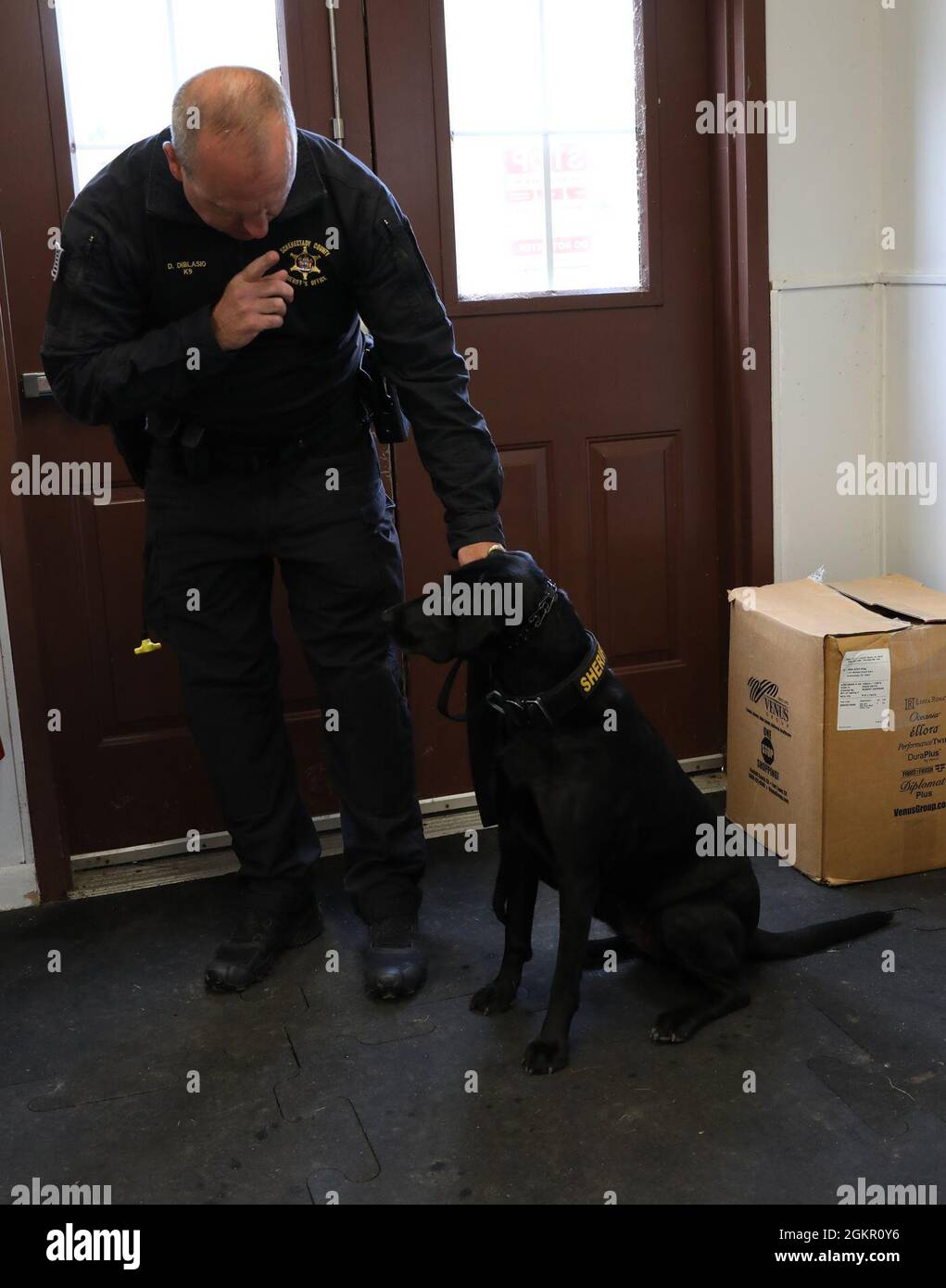 K9 Maizey arbeitet mit ihrem Handler Dan Diblasio zusammen, einem Polizisten des Schenectady County Sheriff Office. Die Offiziere und K9s haben kürzlich bei Stratton ANGB trainiert, wo sie bei Bedarf auch die Sicherheitskräfte unterstützen. Stockfoto