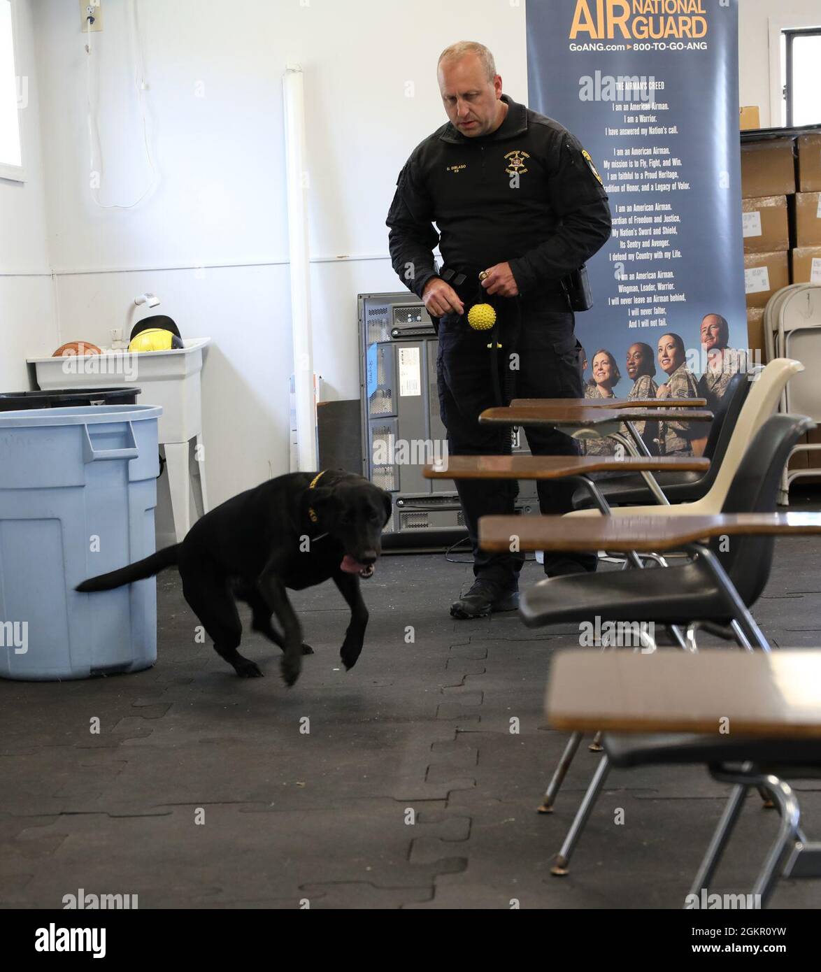 K9 Maizey arbeitet mit ihrem Handler Dan Diblasio zusammen, einem Polizisten des Schenectady County Sheriff Office. Die Offiziere und K9s haben kürzlich bei Stratton ANGB trainiert, wo sie bei Bedarf auch die Sicherheitskräfte unterstützen. Stockfoto