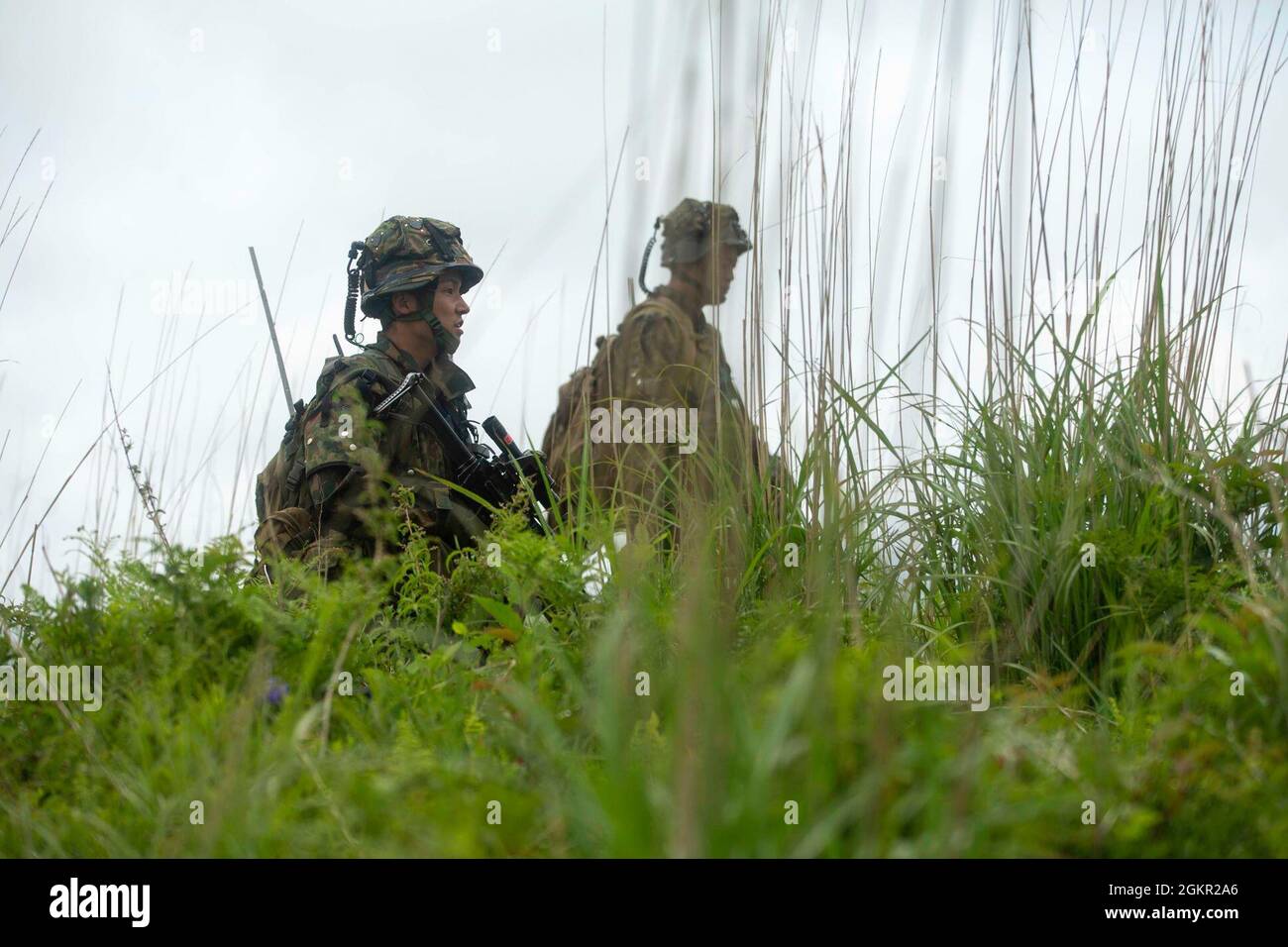 Soldaten der japanischen Bodenselbstverteidigungstruppe unterstützen realistisches Kampftraining für 2d-Bataillons und 2d-Marines während der Übung Shinka im Combined Arms Training Center, Camp Fuji, Japan, 16. Juni 2021. Shinka und Übungen wie sie sind ein Beispiel für ein gemeinsames Engagement für innovatives Training, das tödliche, einsatzbereite und anpassungsfähige Kräfte hervorbringt, die in der Lage sind, dezentrale Operationen über eine Vielzahl von Missionen durchzuführen. Stockfoto