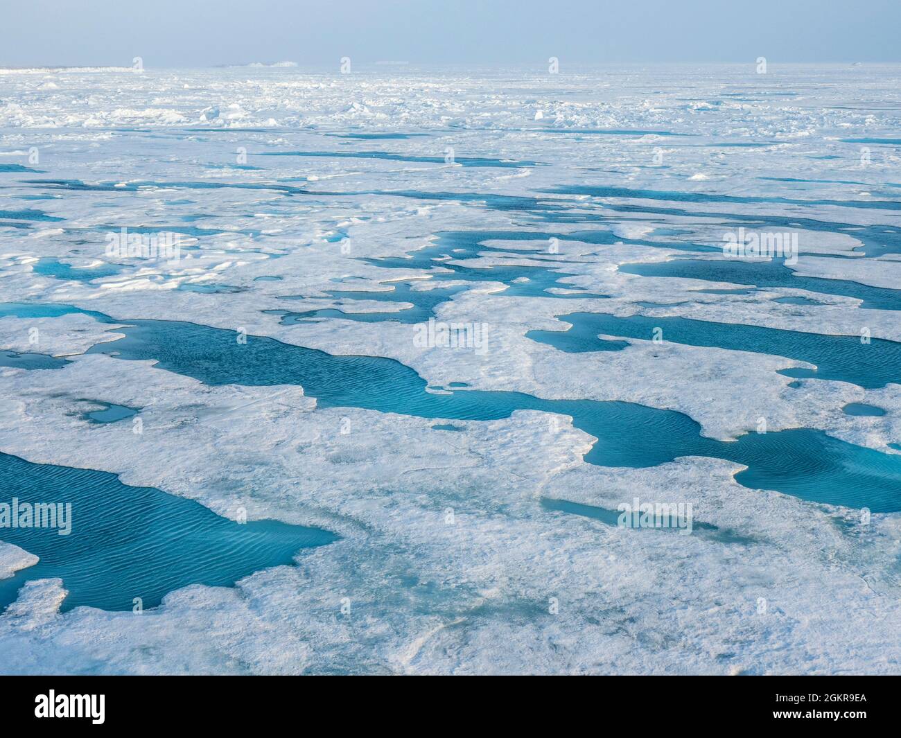Schnelles Eis mit offenen Ableitungen vor der Ostküste Grönlands, Polarregionen Stockfoto