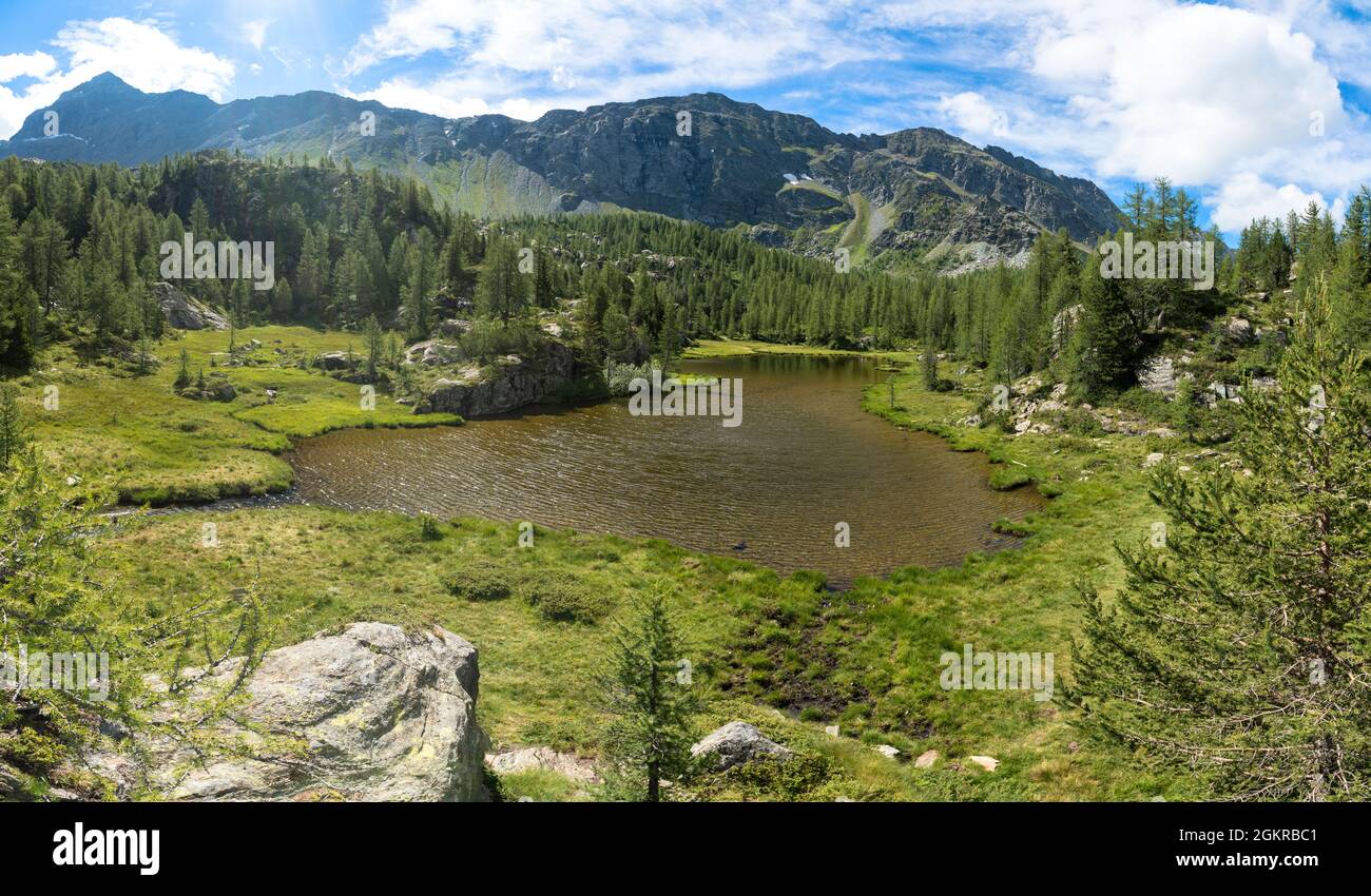 Mufule See umgeben von grünen Wäldern und Bergen im Sommer, Valmalenco, Valtellina, Sondrio Provinz, Lombardei, Italien, Europa Stockfoto