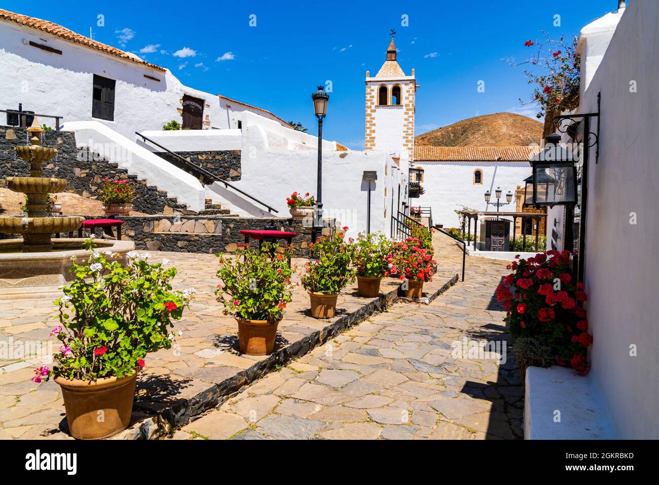 Farbenfrohe Blumen umrahmt die Santa Maria Kathedrale in der Altstadt von Betancuria, Fuerteventura, Kanarische Inseln, Spanien, Atlantik, Europa Stockfoto