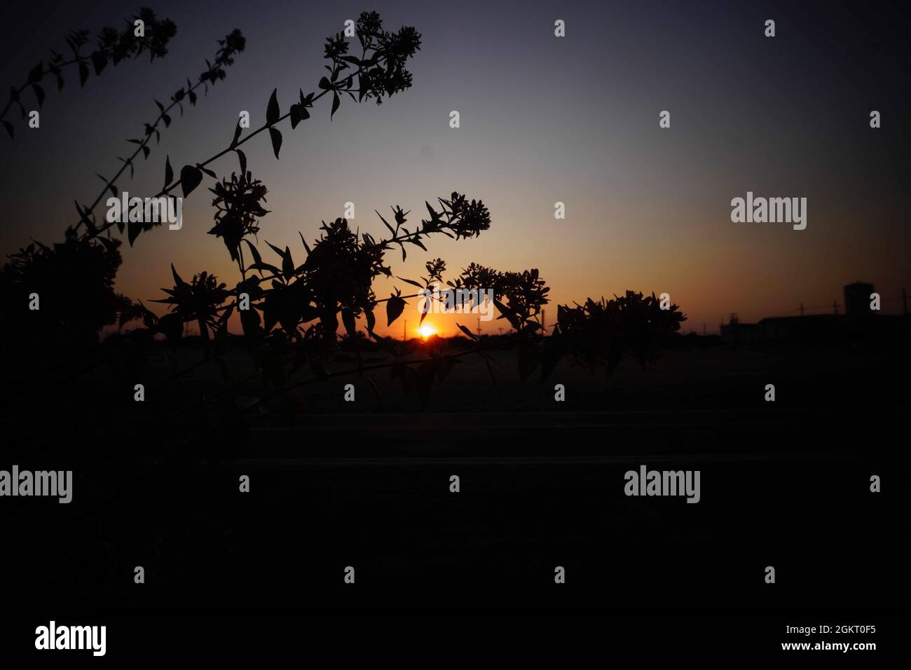 Sonnenuntergang im Zentrum von Texas im Spätsommer mit Zweigen aus Busch, Stadt und Landschaft. Stockfoto
