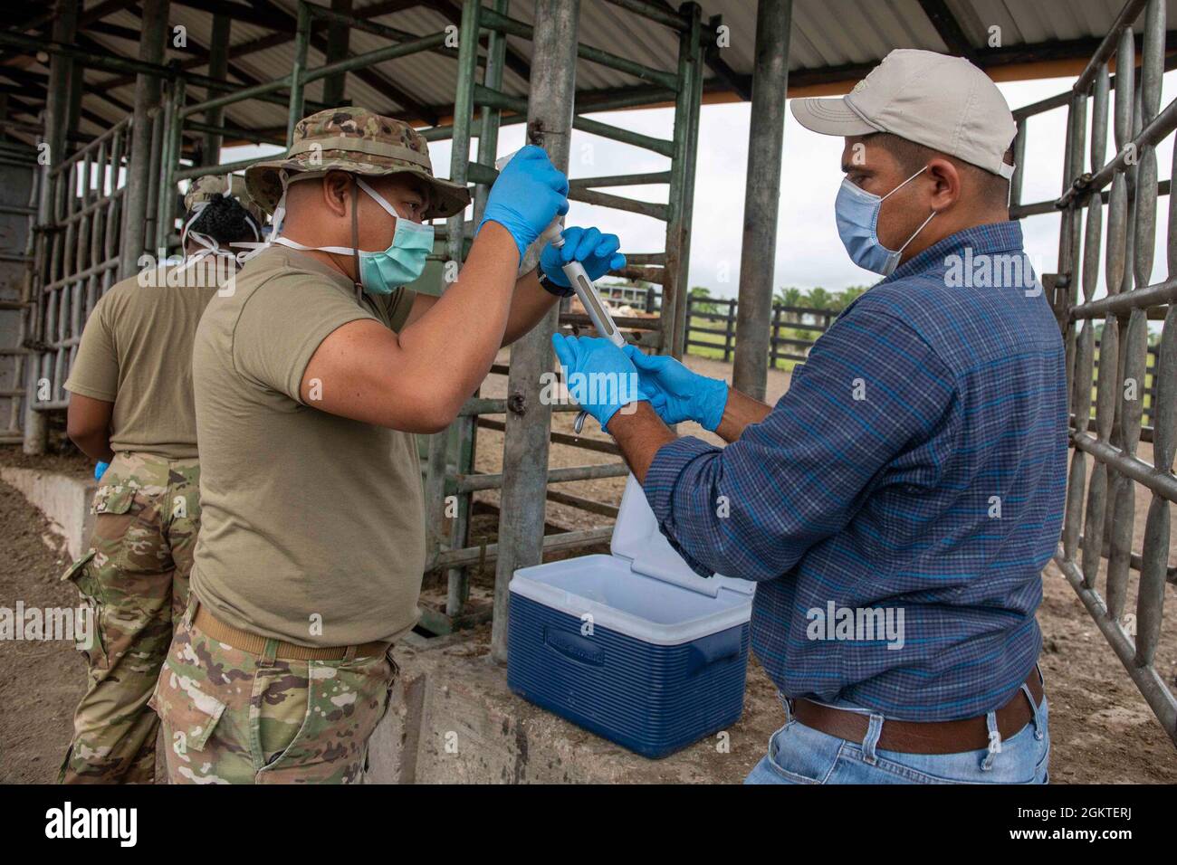 US Army Staff Sgt. Rene Aventura, ein Tierarzt im Außendienst der 109. Medizinischen Abteilung der Veterinärdienste aus Garden Grove, Kalifornien, hilft dem örtlichen Tierarzt, setzt Samayoa ein, bereitet Impfstoffe für Rinder während Resolute Sentinel 21 in Melchor De Mencos, Guatemala, 29. Juni 2021 vor. US-Militärangehöriger werden mit dem guatemaltekischen Landwirtschaftsministerium zusammenarbeiten, um während der Übung umfangreiche Tierpflegeschulungen und Impfungen an verschiedenen Orten anzubieten. Stockfoto