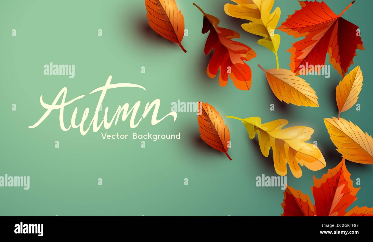 Herbstfärbung saisonales Hintergrunddesign mit goldenen, orangen und roten Blättern. Vektorhintergrund. Stock Vektor
