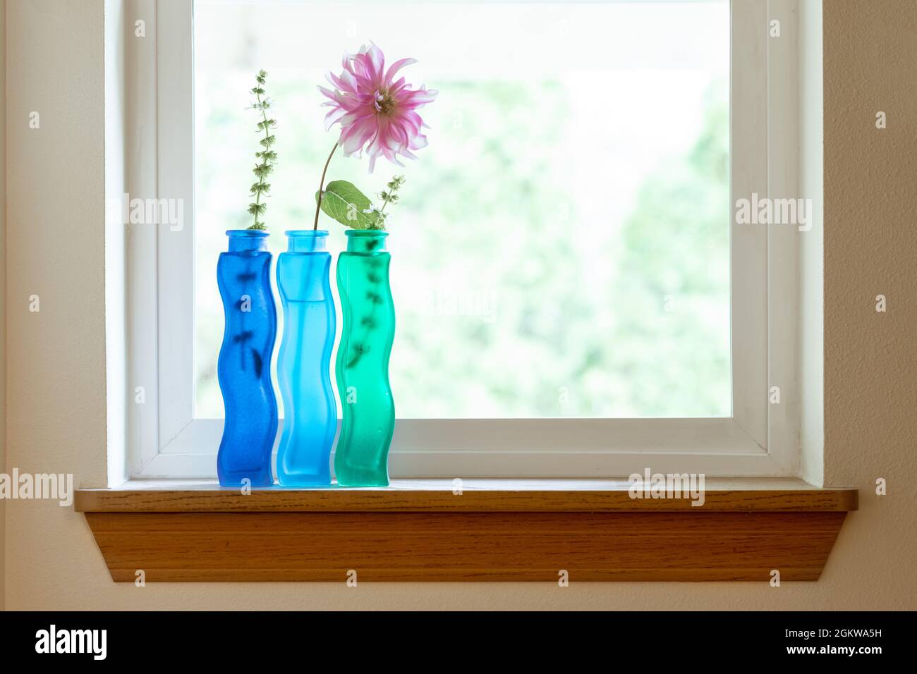 Set aus drei blauen und grünen Vasen mit Blumen auf der Fensterbank an einem hellen, sonnigen Tag Stockfoto