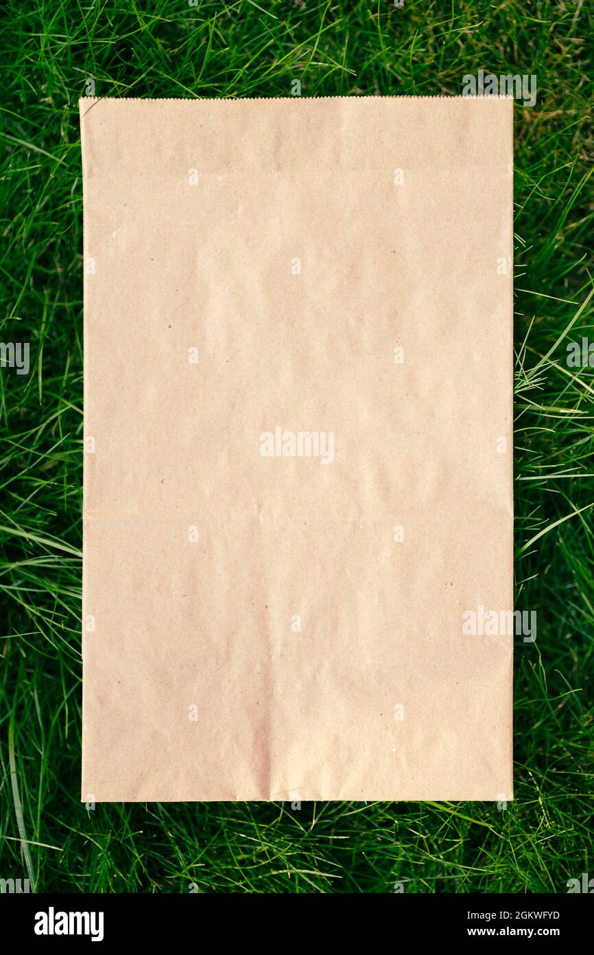 Draufsicht auf quadratischen Rahmen, kreatives Layout von Rasen grünen Rasen mit Handwerk umweltfreundliche Paket Stockfoto
