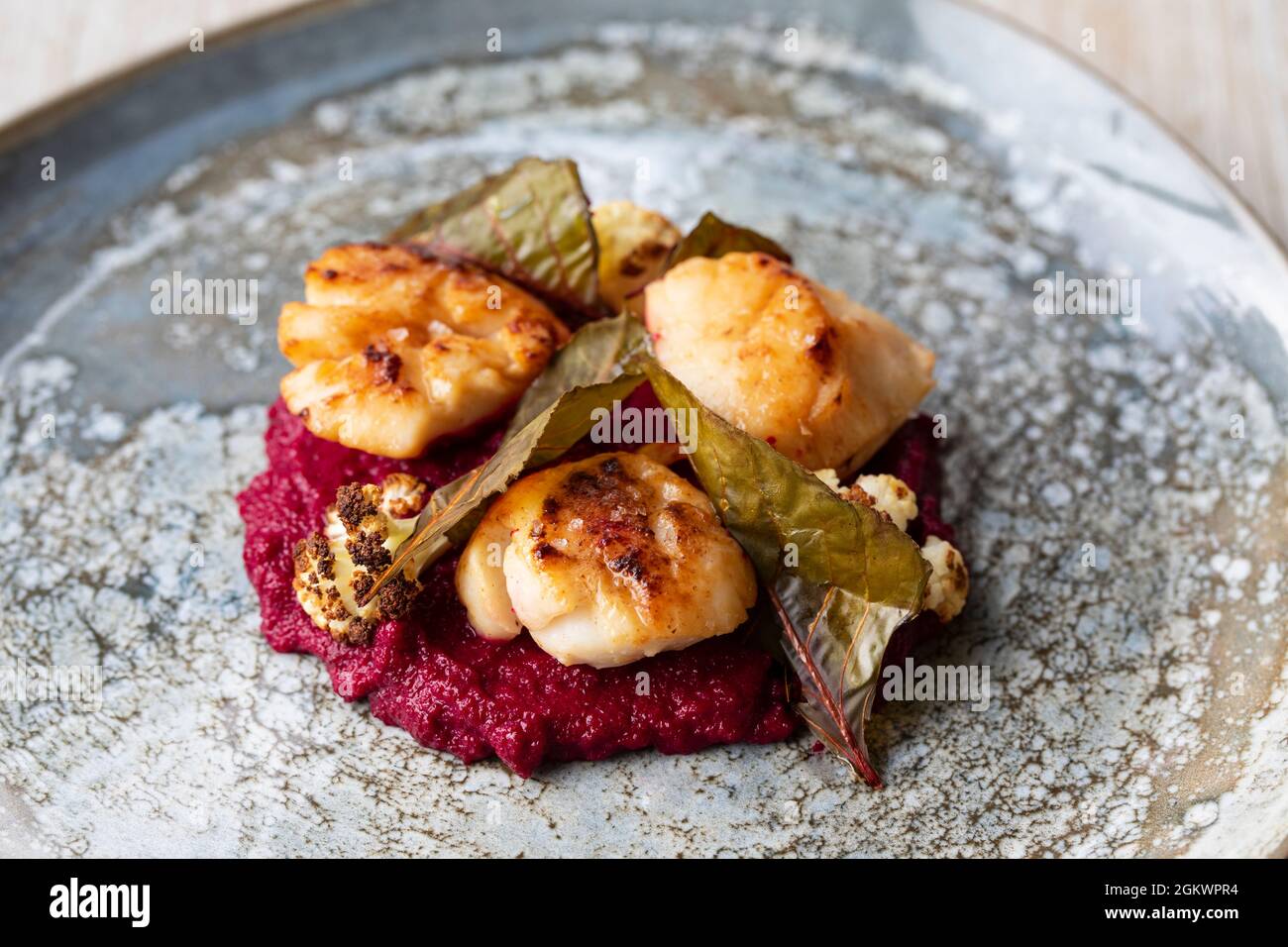 Gebratene Jakobsmuscheln mit Rote-Bete-Püree und Blumenkohl Stockfoto