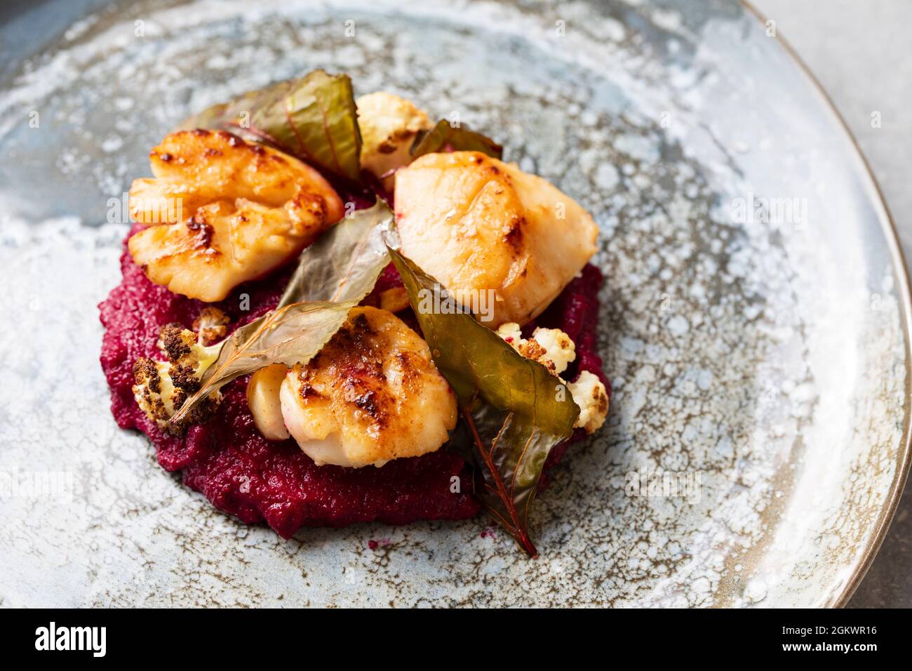Gebratene Jakobsmuscheln mit Rote-Bete-Püree und Blumenkohl Stockfoto