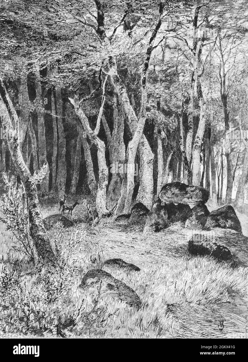 Megalithgrab in den Wäldern des Rügenlandes in der Ostsee, Mecklenburg-Vorpommern, Ostdeutschland, historische Abbildung 1880, Stockfoto