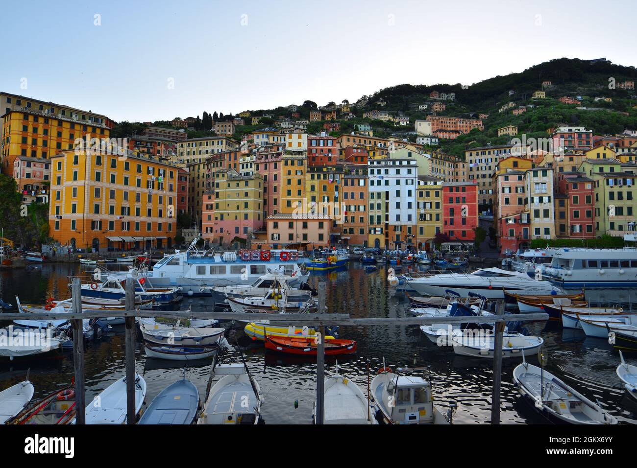 Suggestive Ansicht der charakteristischen farbigen Häuser in Camogli Stockfoto