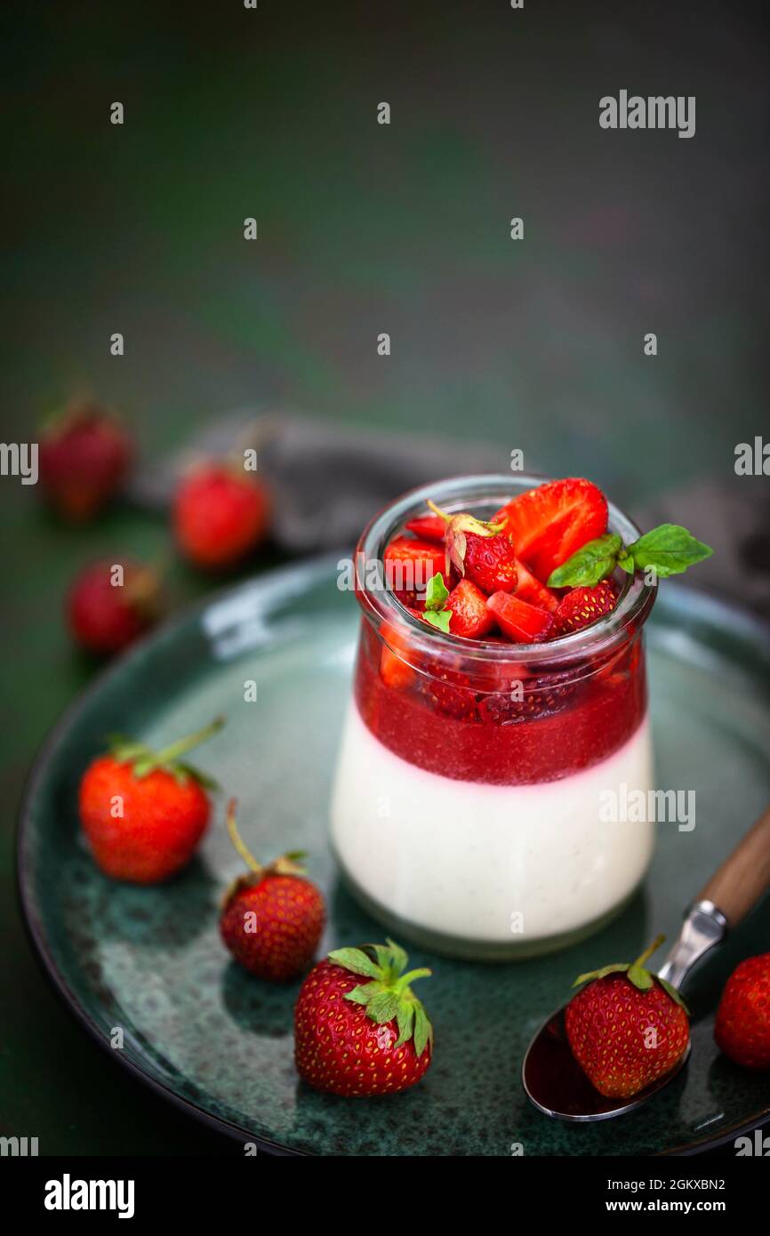 Köstliches italienisches Dessert Panna Cotta mit frischen Sommererdbeeren Stockfoto